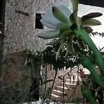 Pandera * Αρεόπολις