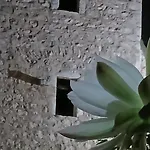 Apartment Pandera *
