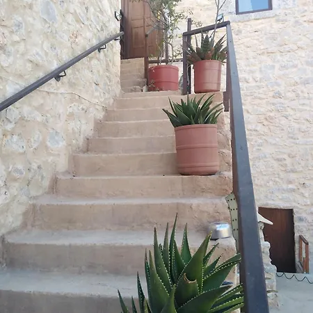 Pandera אראופוליס