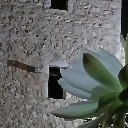 Apartment Pandera *