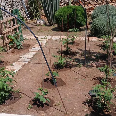 Lägenhet Pandera Areopoli