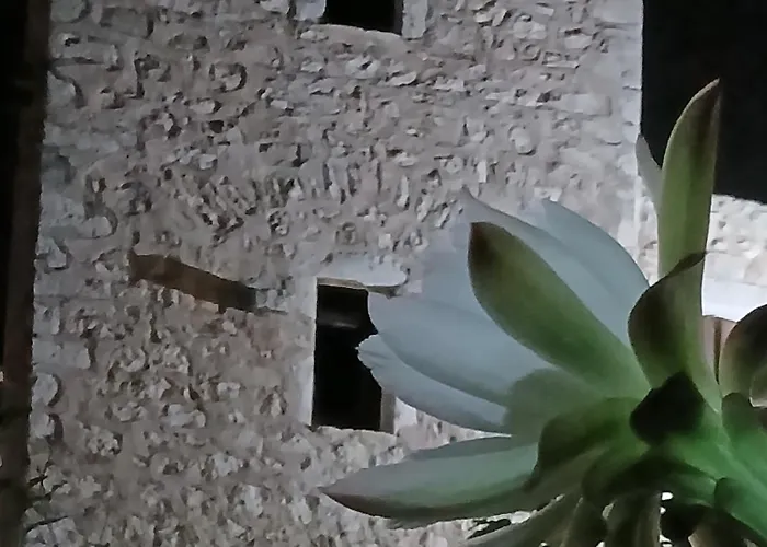 Appartement Pandera *