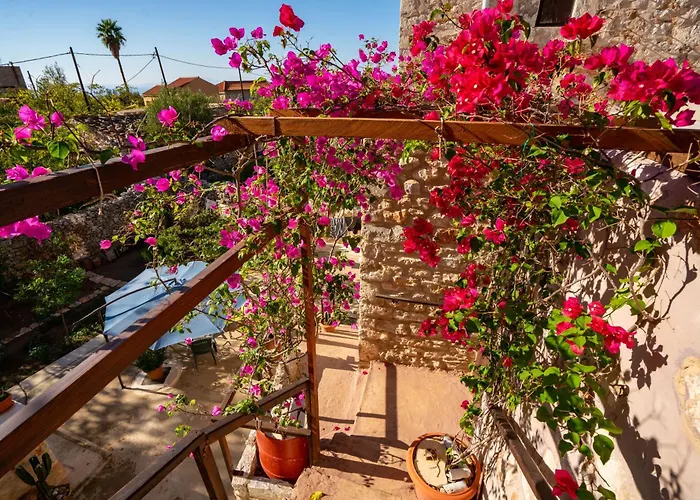 Pandera アレオポリ