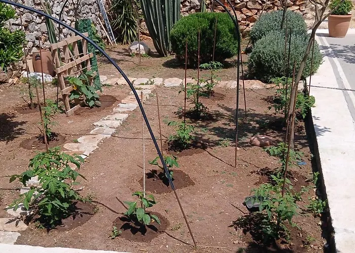 דירה Pandera אראופוליס