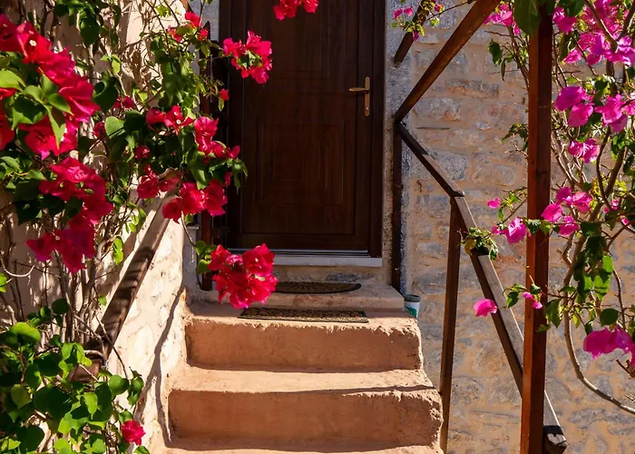 Pandera * אראופוליס